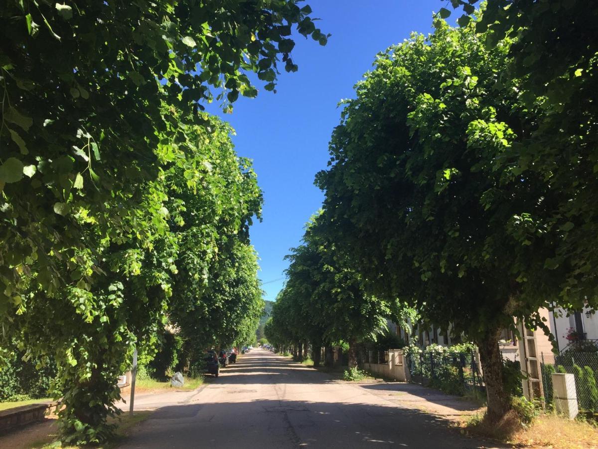 Le Gite De Brigitte ! Saint-Die-des-Vosges Bagian luar foto