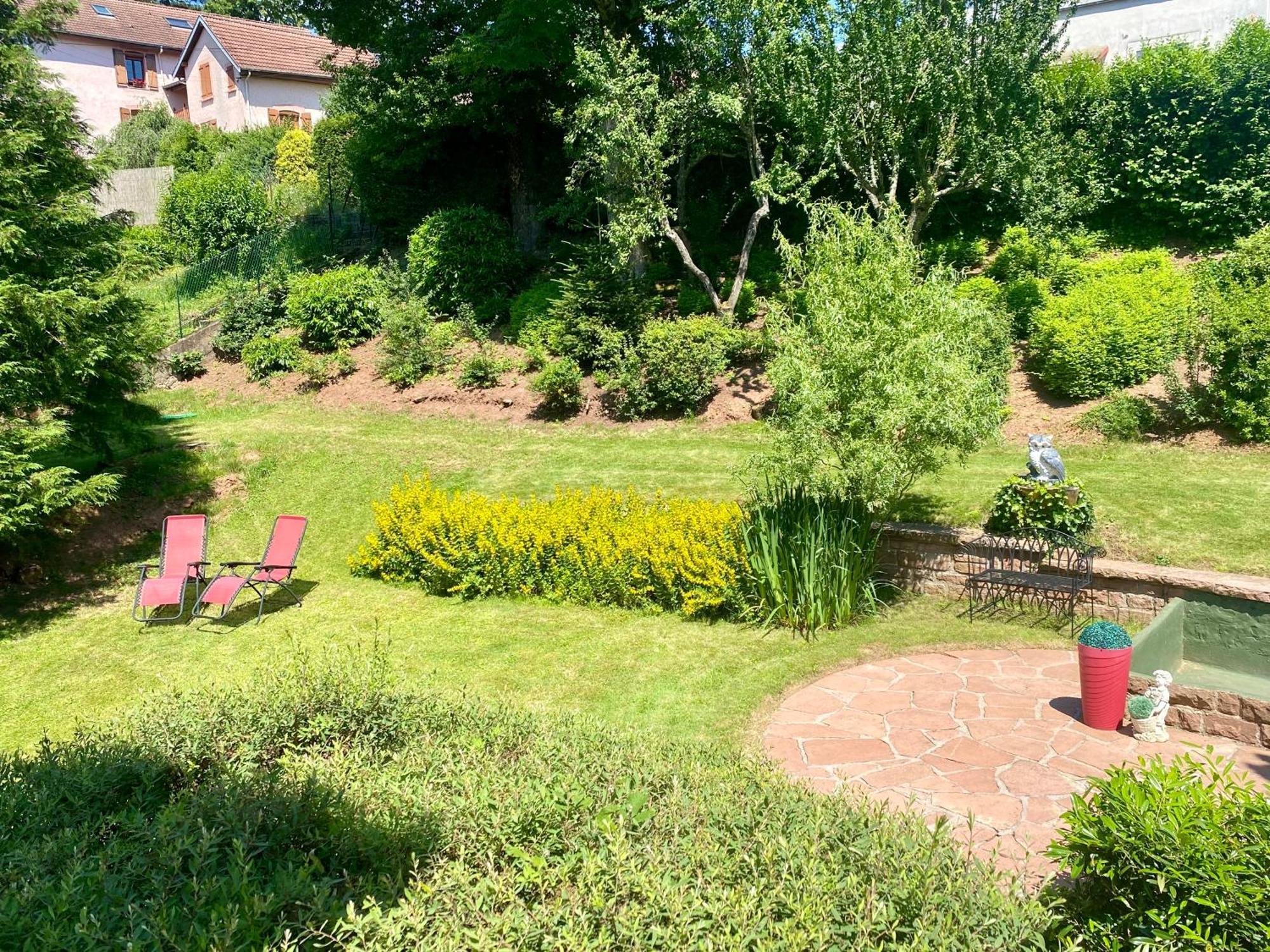 Le Gite De Brigitte ! Saint-Die-des-Vosges Bagian luar foto